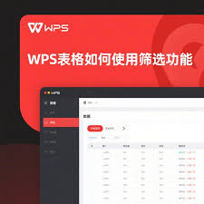 WPS表格筛选功能使用指南：轻松查找所需数据？